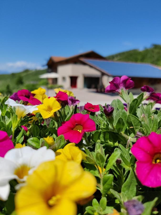 Bio Agritur Al Bait Villa Spormaggiore Eksteriør billede